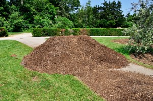 shutterstock_81502063